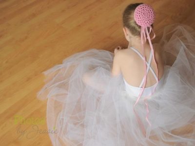 Ballerina Bun Cover