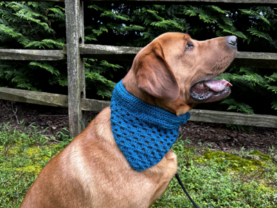 crochet Safety Pet Bandana free pattern